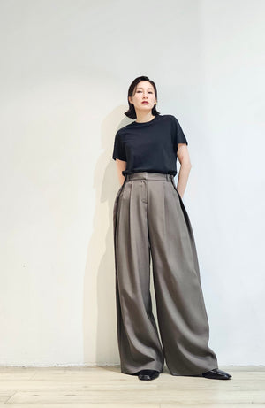 Pleated wrinkle-free pants - 2 colours